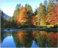 Valia Calda in Autumn